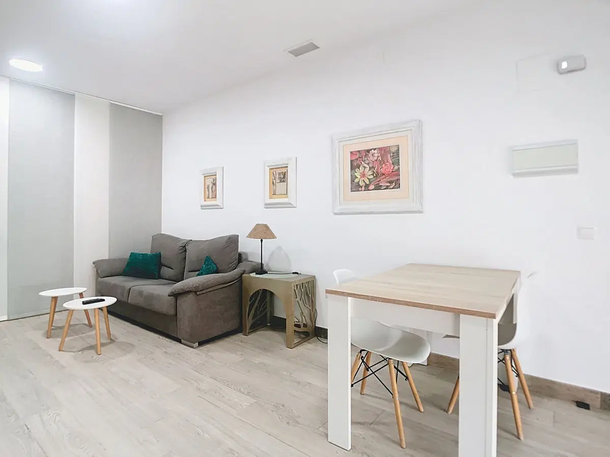 Ground Floor Apartment in Málaga Centro