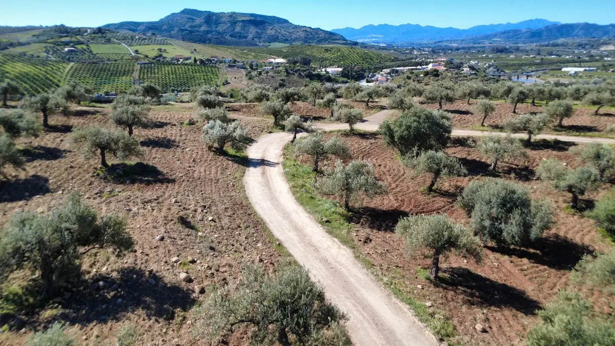 Residential Plot in Alora