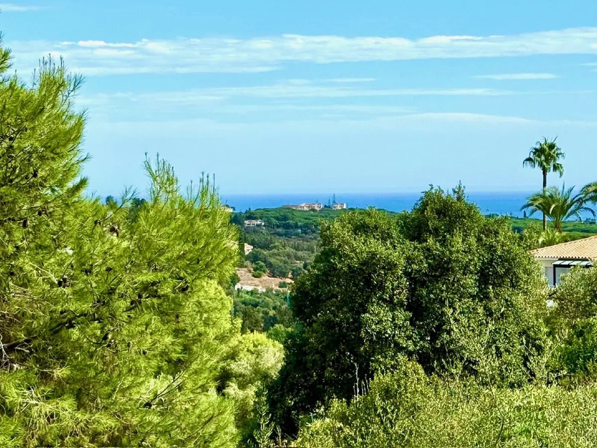 Middle Floor Apartment in Elviria